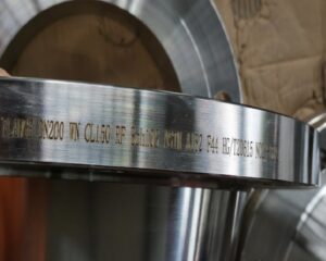 ASTM A182 F44 flange UNS S31254 254SMO Flanges