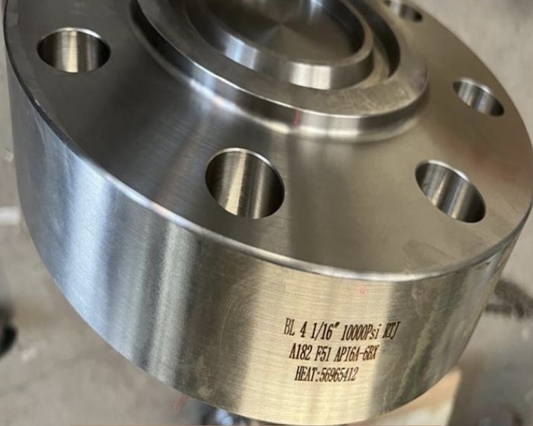 ASTM-A182-F51-Blind-Flanges-API-6A-ASME-B16.5