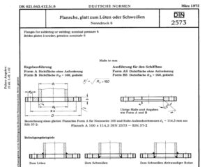 DIN 2573 Flanges