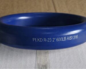 PTFE-Coated-Ring-Type-Joint-Gasket-316L